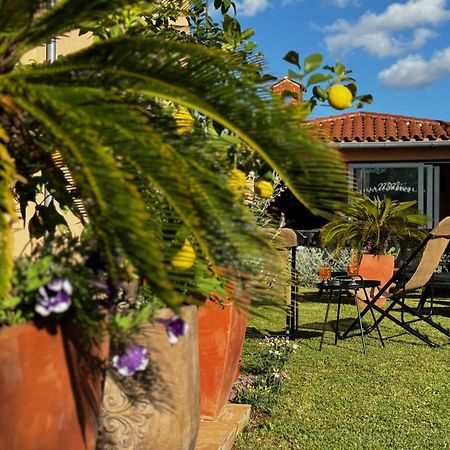 פאז'אנה Villa Mihaela מראה חיצוני תמונה