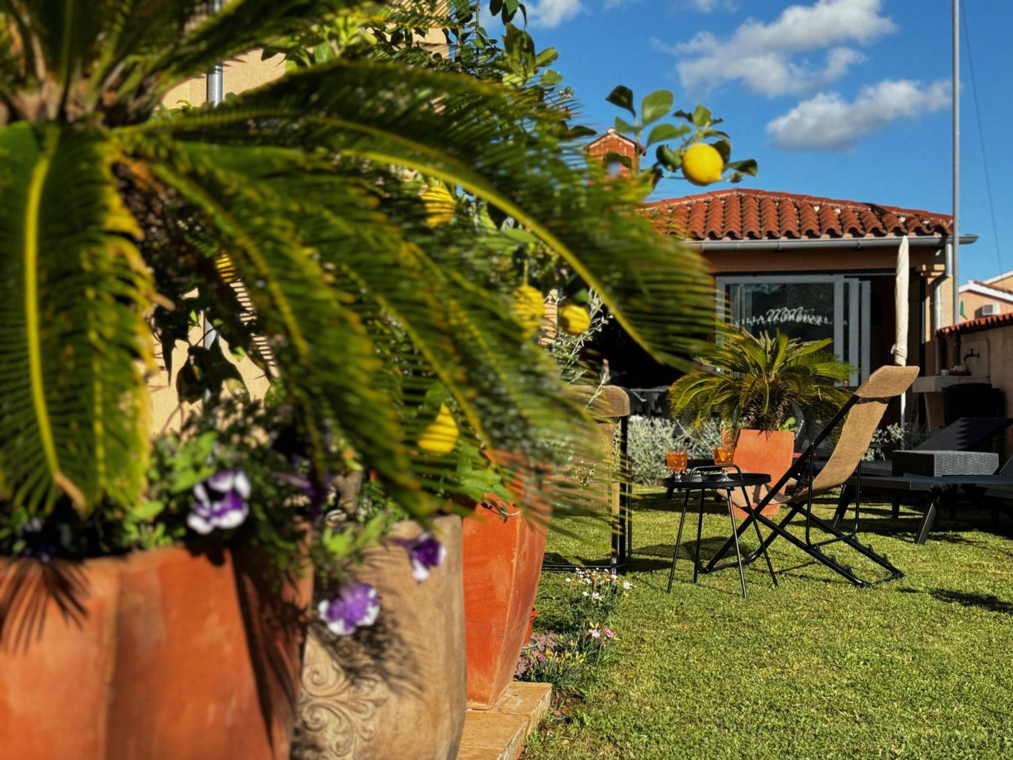 פאז'אנה Villa Mihaela מראה חיצוני תמונה